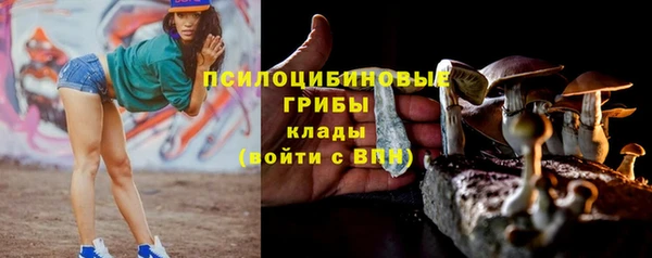 a pvp Горняк