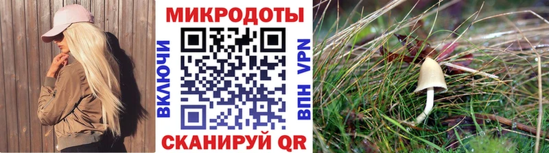 ссылка на мегу зеркало  закладки  Домодедово  Псилоцибиновые грибы Psilocybine cubensis 